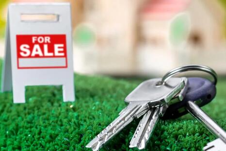What Is The Advantage Of Hiring Professional Property Valuators?